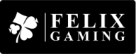 felix gaming e1768257149769